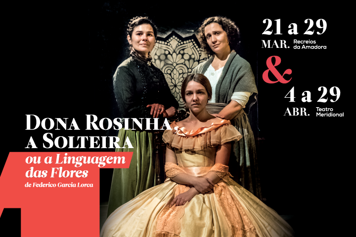 TeatroMeridional BannerSite 720x480 Rosinha01